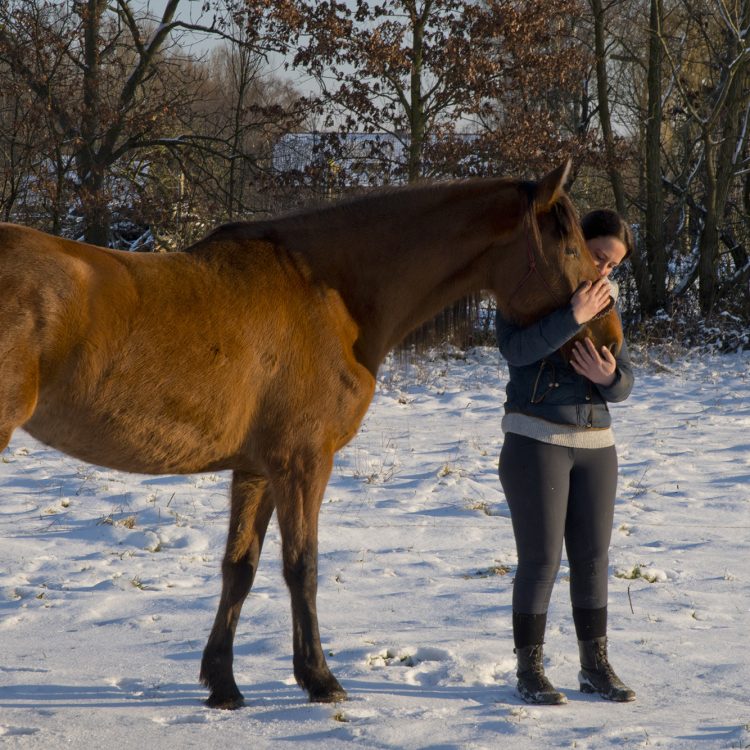 acupressuur en sportmassage bij paarden